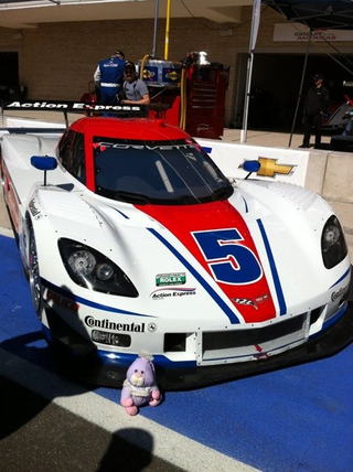 Puff looks skeptical of the “Corvette” that isn’t a Corvette.